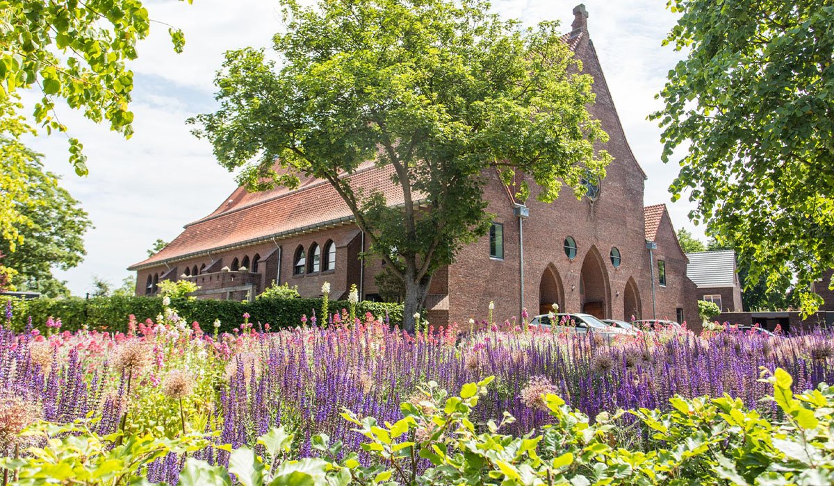 Inspiratietuinplanten1 • Gras en Groen Winkel